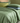 Lenzuola completo letto 100% Cotone